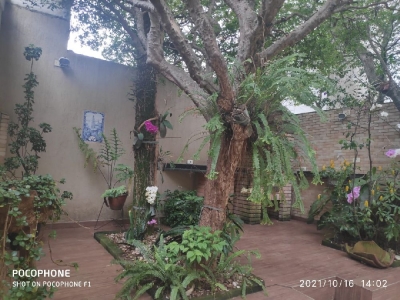 Perdizes - Rua tranquila - Sobrado com 220 m2 - 3 dorms (suíte) - 2 vagas - Quintal com árvores e churrasqueira